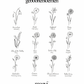 Ketting met Geboortebloem & Geboortesteen
